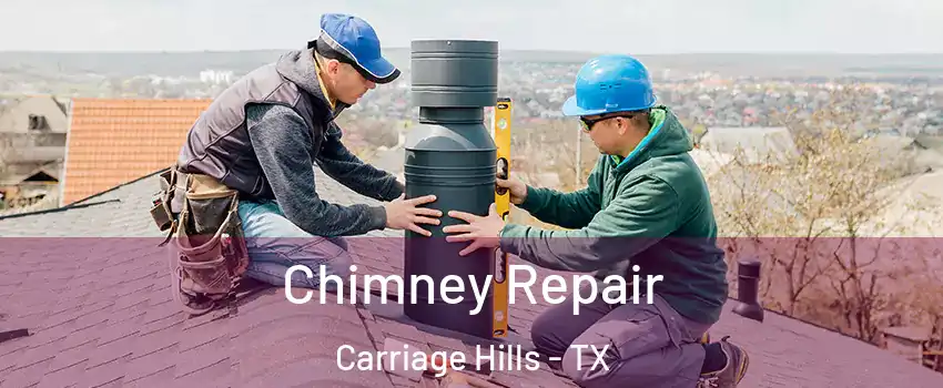 Chimney Repair Carriage Hills - TX