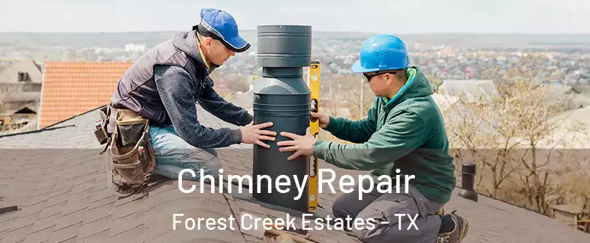 Chimney Repair Forest Creek Estates - TX