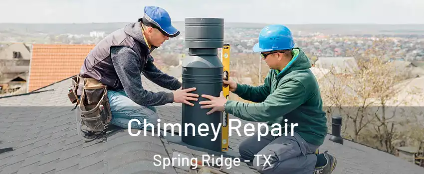 Chimney Repair Spring Ridge - TX