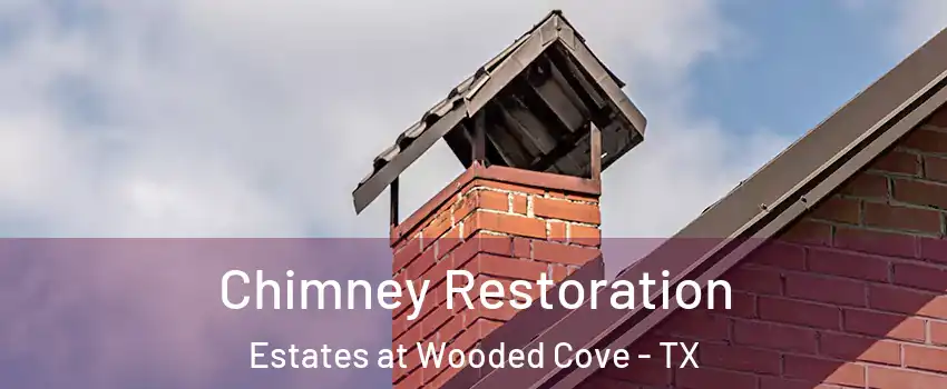 Chimney Restoration Estates at Wooded Cove - TX