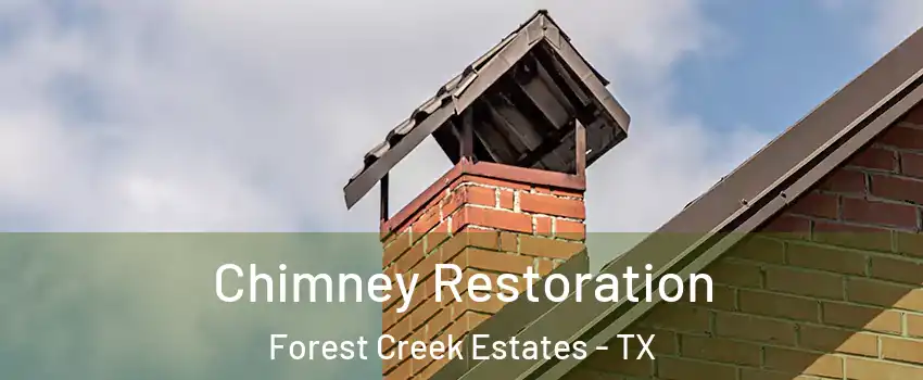 Chimney Restoration Forest Creek Estates - TX