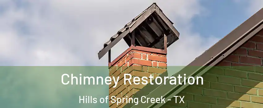 Chimney Restoration Hills of Spring Creek - TX