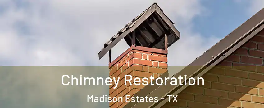 Chimney Restoration Madison Estates - TX