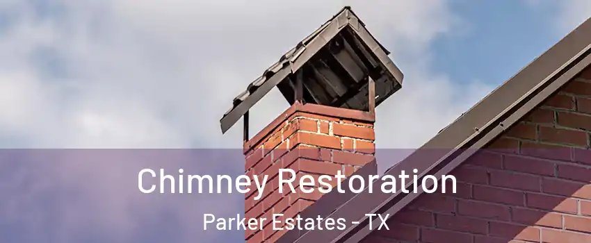 Chimney Restoration Parker Estates - TX