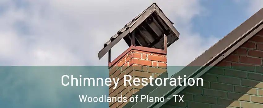 Chimney Restoration Woodlands of Plano - TX