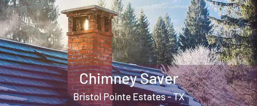 Chimney Saver Bristol Pointe Estates - TX