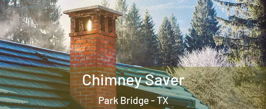 Chimney Saver Park Bridge - TX