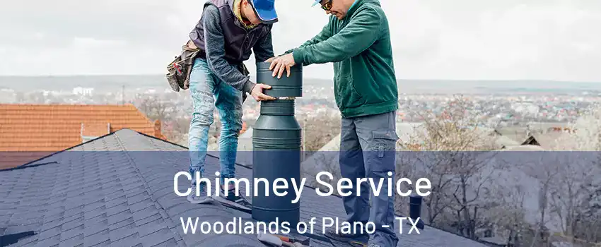 Chimney Service Woodlands of Plano - TX