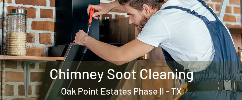 Chimney Soot Cleaning Oak Point Estates Phase II - TX