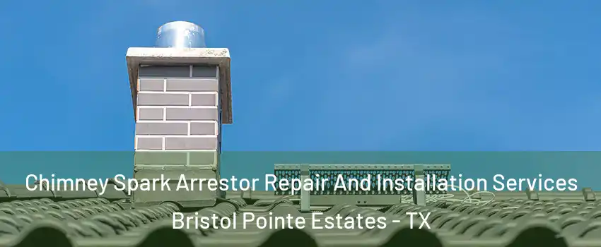 Chimney Spark Arrestor Repair And Installation Services Bristol Pointe Estates - TX