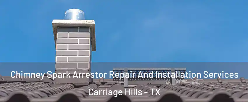 Chimney Spark Arrestor Repair And Installation Services Carriage Hills - TX