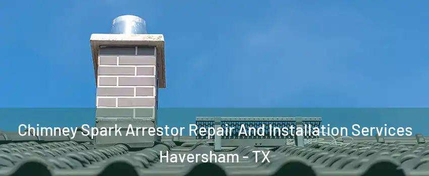 Chimney Spark Arrestor Repair And Installation Services Haversham - TX