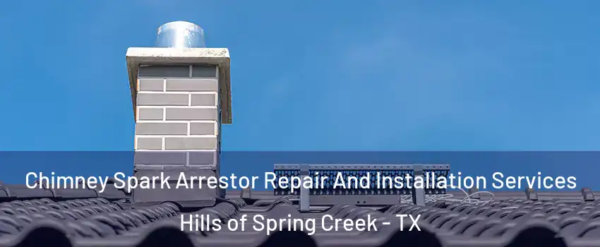 Chimney Spark Arrestor Repair And Installation Services Hills of Spring Creek - TX