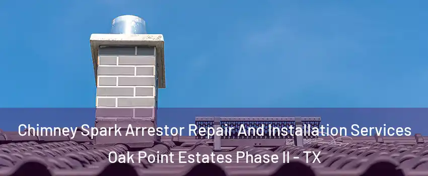 Chimney Spark Arrestor Repair And Installation Services Oak Point Estates Phase II - TX