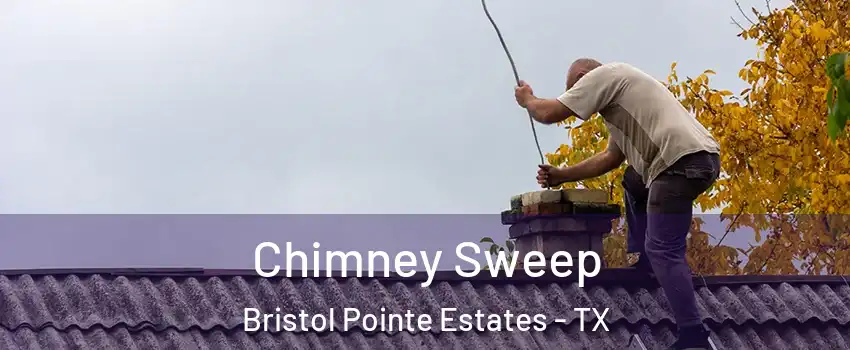 Chimney Sweep Bristol Pointe Estates - TX