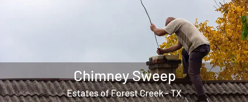 Chimney Sweep Estates of Forest Creek - TX