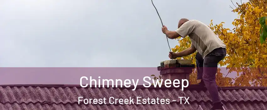 Chimney Sweep Forest Creek Estates - TX