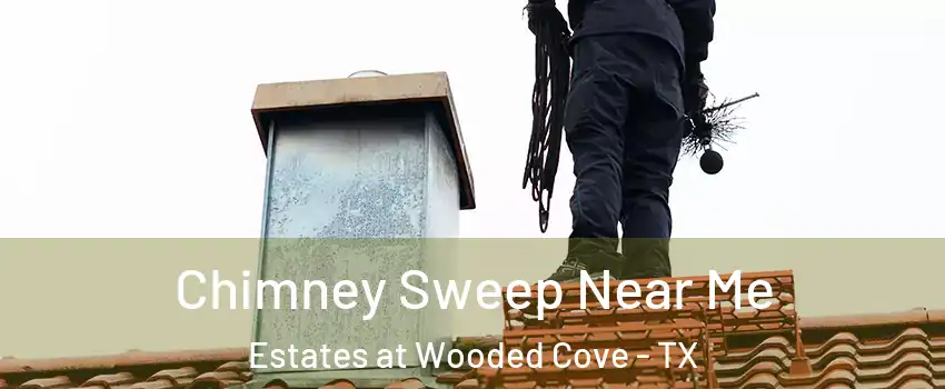 Chimney Sweep Near Me Estates at Wooded Cove - TX