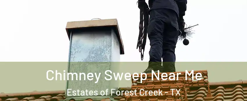 Chimney Sweep Near Me Estates of Forest Creek - TX