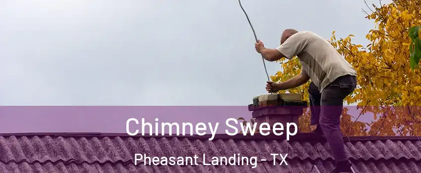 Chimney Sweep Pheasant Landing - TX