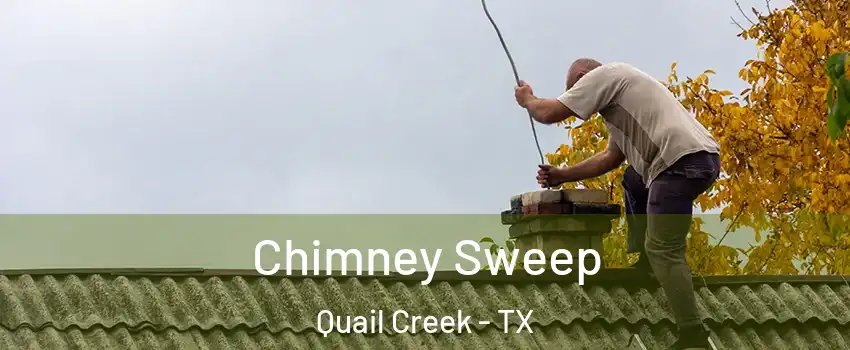 Chimney Sweep Quail Creek - TX