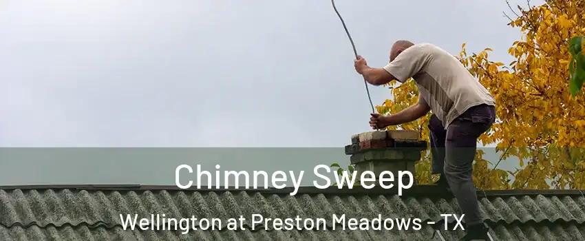 Chimney Sweep Wellington at Preston Meadows - TX