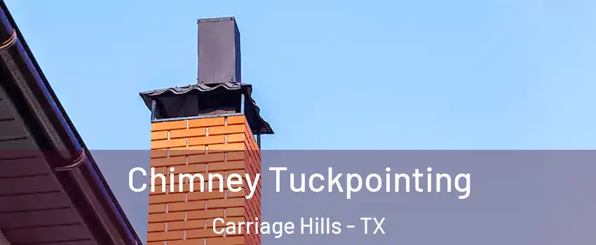 Chimney Tuckpointing Carriage Hills - TX