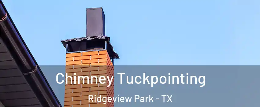 Chimney Tuckpointing Ridgeview Park - TX