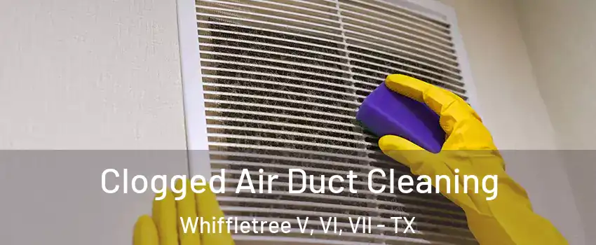 Clogged Air Duct Cleaning Whiffletree V, VI, VII - TX