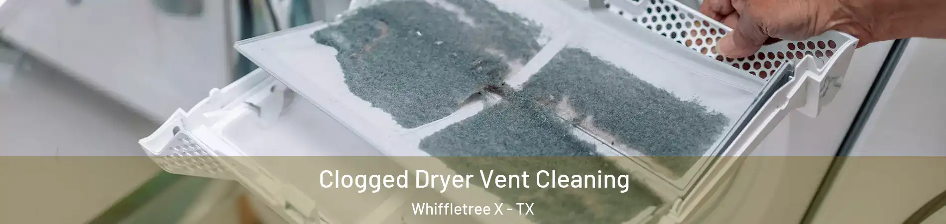 Clogged Dryer Vent Cleaning Whiffletree X - TX