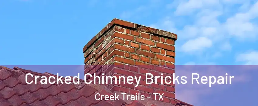 Cracked Chimney Bricks Repair Creek Trails - TX