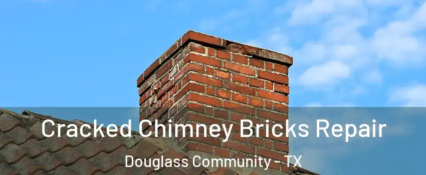 Cracked Chimney Bricks Repair Douglass Community - TX