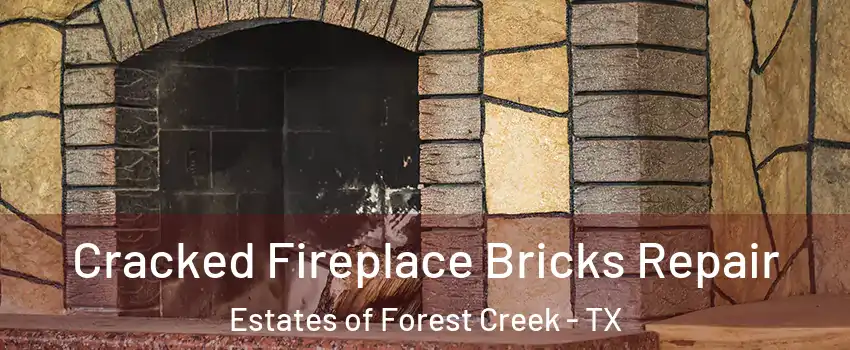 Cracked Fireplace Bricks Repair Estates of Forest Creek - TX