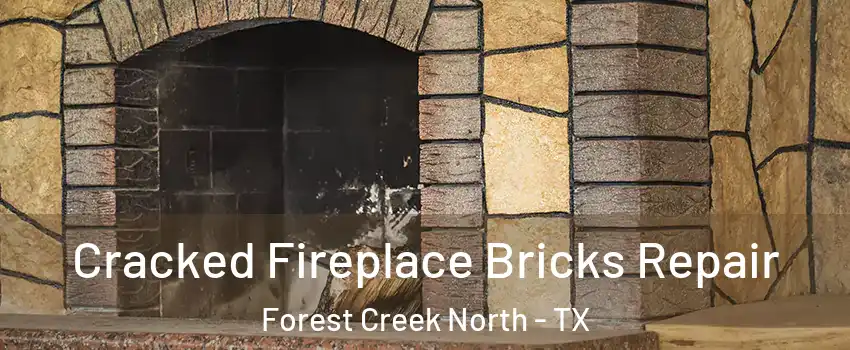 Cracked Fireplace Bricks Repair Forest Creek North - TX