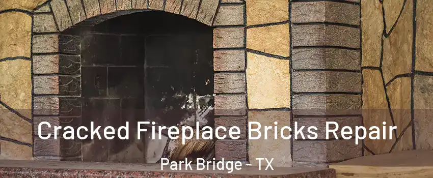 Cracked Fireplace Bricks Repair Park Bridge - TX