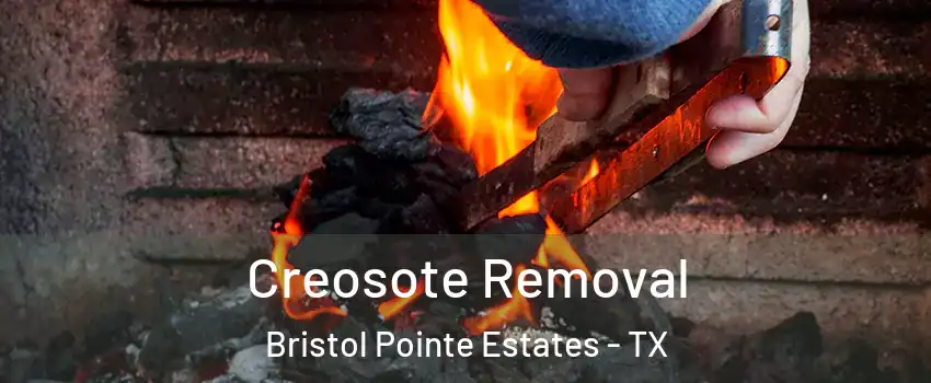 Creosote Removal Bristol Pointe Estates - TX