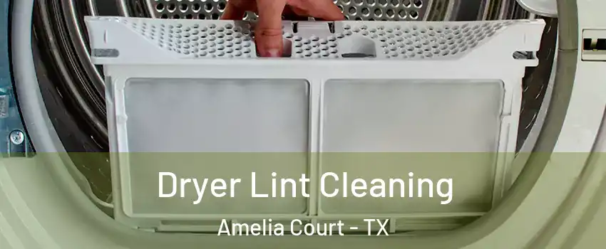 Dryer Lint Cleaning Amelia Court - TX