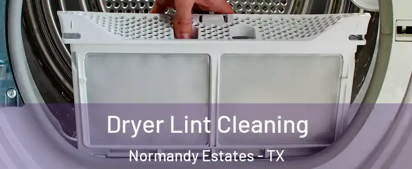 Dryer Lint Cleaning Normandy Estates - TX