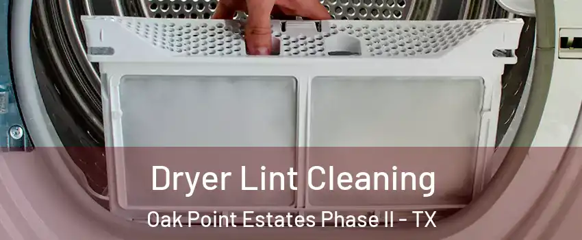 Dryer Lint Cleaning Oak Point Estates Phase II - TX