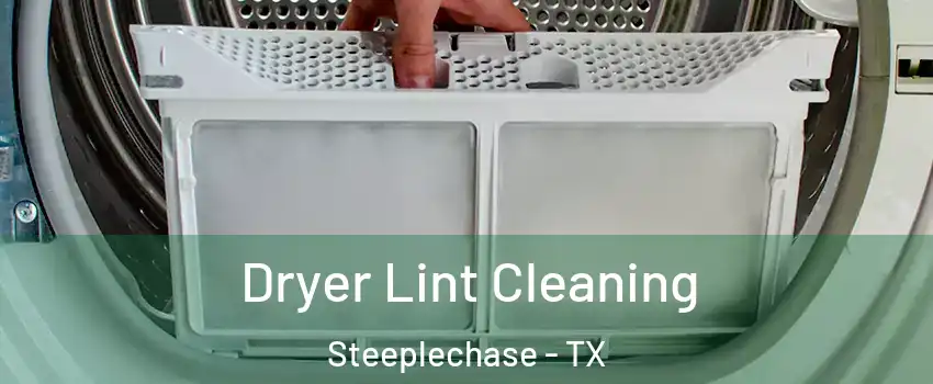 Dryer Lint Cleaning Steeplechase - TX