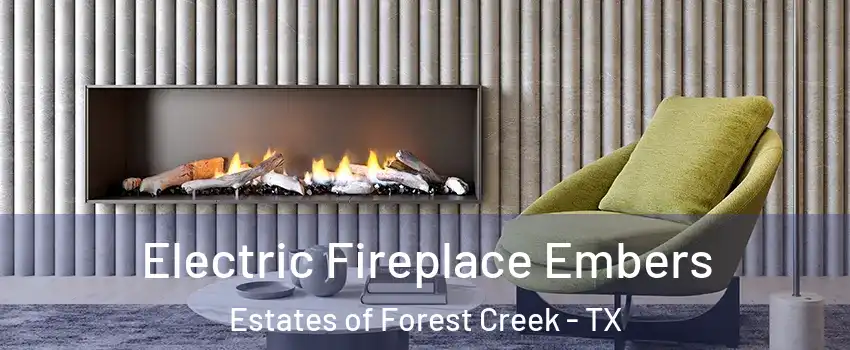 Electric Fireplace Embers Estates of Forest Creek - TX