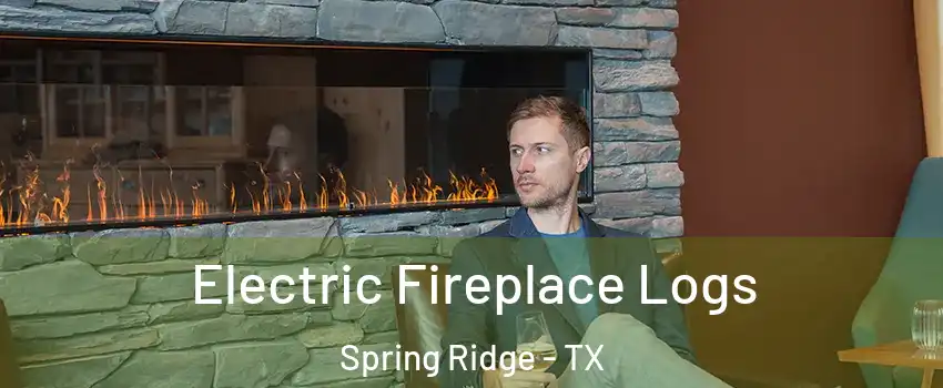 Electric Fireplace Logs Spring Ridge - TX