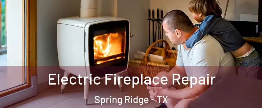 Electric Fireplace Repair Spring Ridge - TX