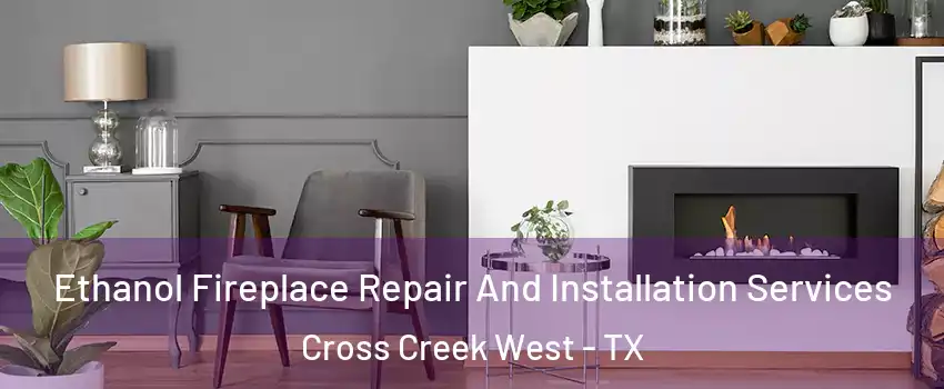 Ethanol Fireplace Repair And Installation Services Cross Creek West - TX