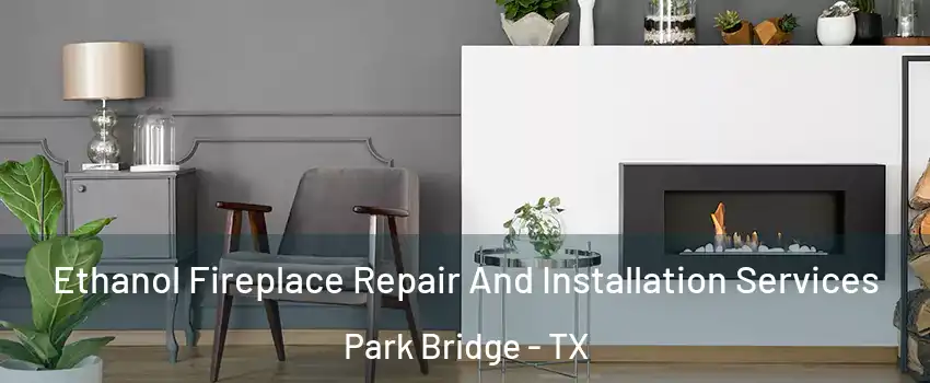 Ethanol Fireplace Repair And Installation Services Park Bridge - TX