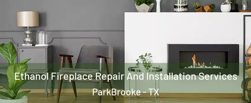 Ethanol Fireplace Repair And Installation Services ParkBrooke - TX