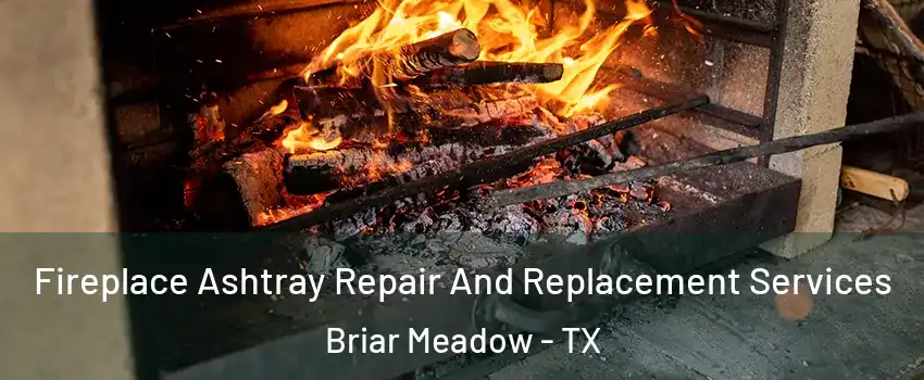 Fireplace Ashtray Repair And Replacement Services Briar Meadow - TX