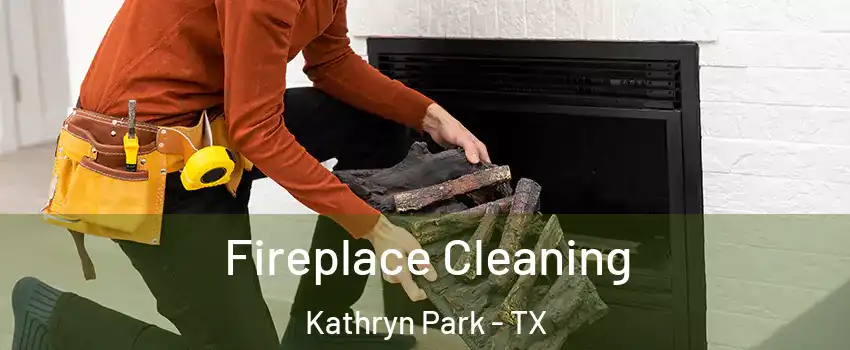 Fireplace Cleaning Kathryn Park - TX