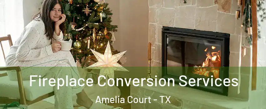 Fireplace Conversion Services Amelia Court - TX