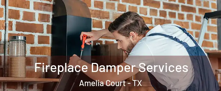 Fireplace Damper Services Amelia Court - TX